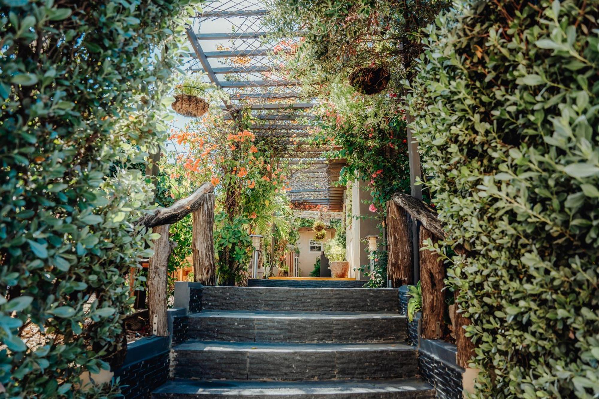 Hotel Rh Boutique Aruba 오란제스타트 외부 사진